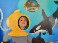 Czytaj więcej: Galeria - Pszczółek