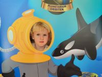 Czytaj więcej: Galeria - Pszczółek