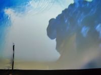 Czytaj więcej: Galeria - Pszczółek