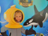 Czytaj więcej: Galeria - Pszczółek