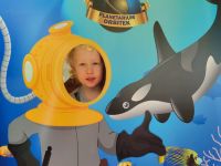 Czytaj więcej: Galeria - Pszczółek