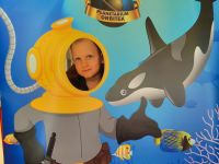 Czytaj więcej: Galeria - Pszczółek