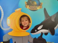 Czytaj więcej: Galeria - Pszczółek