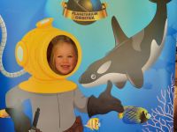 Czytaj więcej: Galeria - Pszczółek