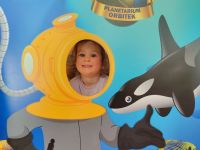 Czytaj więcej: Galeria - Pszczółek