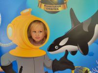 Czytaj więcej: Galeria - Pszczółek