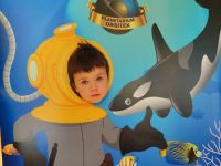 Czytaj więcej: Galeria - Pszczółek