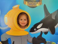 Czytaj więcej: Galeria - Pszczółek