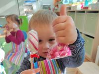 Czytaj więcej: Galeria - Pszczółek