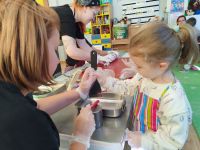 Czytaj więcej: Galeria - Pszczółek