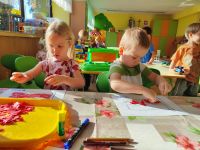 Czytaj więcej: Galeria - Pszczółek