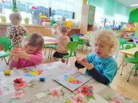 Czytaj więcej: Galeria - Pszczółek