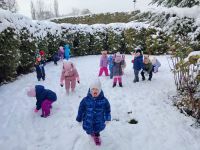 Czytaj więcej: Galeria - Pszczółek