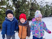 Czytaj więcej: Galeria - Pszczółek