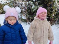 Czytaj więcej: Galeria - Pszczółek