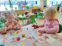 Czytaj więcej: Galeria - Pszczółek