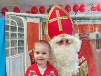 Czytaj więcej: Galeria - Pszczółek