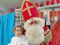 Czytaj więcej: Galeria - Pszczółek