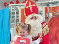 Czytaj więcej: Galeria - Pszczółek