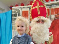 Czytaj więcej: Galeria - Pszczółek