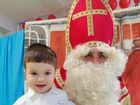 Czytaj więcej: Galeria - Pszczółek