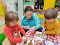 Czytaj więcej: Galeria - Pszczółek