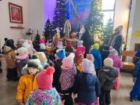 Czytaj więcej: Galeria - Pszczółek