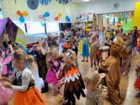 Czytaj więcej: Galeria - Pszczółek