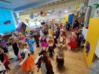 Czytaj więcej: Galeria - Pszczółek