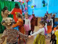 Czytaj więcej: Galeria - Pszczółek