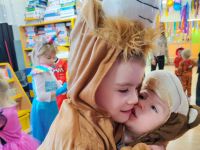 Czytaj więcej: Galeria - Pszczółek