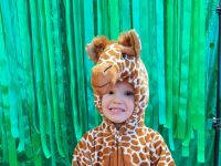 Czytaj więcej: Galeria - Pszczółek