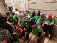 Czytaj więcej: Galeria - Pszczółek