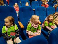 Czytaj więcej: Galeria - Pszczółek