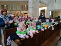 Czytaj więcej: Galeria - Pszczółek