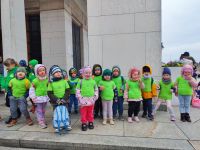 Czytaj więcej: Galeria - Pszczółek