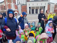 Czytaj więcej: Galeria - Pszczółek