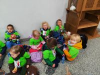 Czytaj więcej: Galeria - Pszczółek