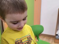 Czytaj więcej: Galeria - Pszczółek