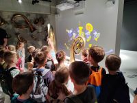Czytaj więcej: Wiewiórkowa galeria