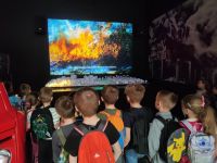 Czytaj więcej: Wiewiórkowa galeria