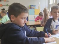 Czytaj więcej: Wiewiórkowa galeria