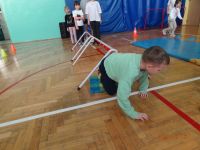 Czytaj więcej: Wiewiórkowa galeria