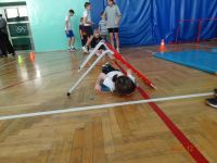 Czytaj więcej: Wiewiórkowa galeria