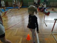 Czytaj więcej: Wiewiórkowa galeria