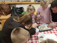 Czytaj więcej: Wiewiórkowa galeria