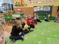 Czytaj więcej: Wiewiórkowa galeria
